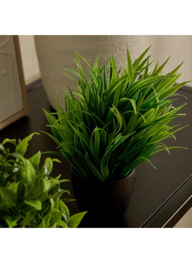 Home Box Evergreen Mini Artificial Succulent Greenery Set of 4 - Image 3